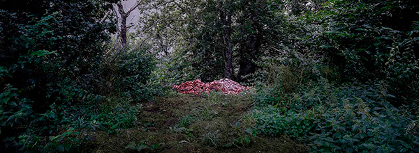 Mención Especial PHotoEspaña 2025 Mención Especial PHotoEspaña 2025